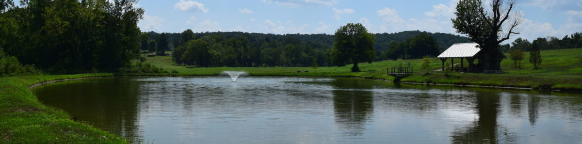 Cumberland Heights by the pond